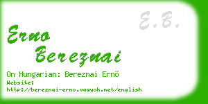 erno bereznai business card